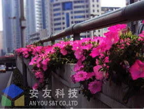 立体交响曲 高架桥绿化景观设计的理念与实践