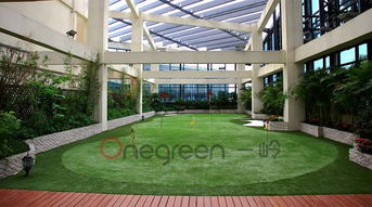 2017年景观设计新趋势 人造草果岭崭露头角